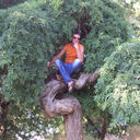  ,   , 50 ,   