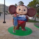  ,   , 62 ,     , 