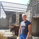 ���������� ���������, ���� ������� �������, 38 ���, ������������ ��� ������, ����� � ���������, c�������� ���������