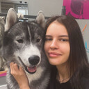 ���������� ��������, ���� ������� ���������, 22 ����, ������������ ��� ���������