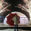 ���������� �����������, ���� ������� �������, 38 ���, ������������ ��� ������, ����� � ���������, c�������� ���������