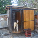 ���������� �����-���������, ���� ������� ���, 45 ���, ������������ ��� ������