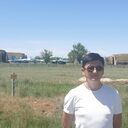 ���������� ���������, ���� ������� Bagdat, 36 ���, ������������ ��� ������, ����� � ���������