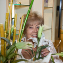 ���������� ���������, ���� ������� ������, 66 ���, ������������ ��� ������, ����� � ���������