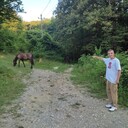 ���������� ������ ��������, ���� ������� ������, 37 ���, ������������ ��� ������, ����� � ���������