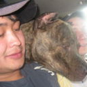  ,   Arman, 38 ,   ,   , c 