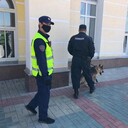 ���������� �����������, ���� ������� ���������, 29 ���, ������������ ��� ������, ����� � ���������, c�������� ���������, ���������