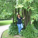 ���������� ������, ���� ������� �����, 49 ���, ������������ ��� c�������� ���������