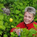 ���������� �����-���������, ���� ������� ������, 65 ���, ������������ ��� ����� � ���������, c�������� ���������