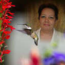 ���������� ������, ���� ������� �������, 57 ���, ������������ ��� ����� � ���������, c�������� ���������