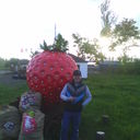 ���������� �������, ���� ������� �������, 41 ���, ������������ ��� ������