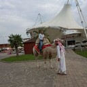 ���������� ���������, ���� ������� �����, 36 ���, ������������ ��� ������, ����� � ���������, c�������� ���������, ���������