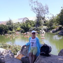  ,   , 62 ,   ,   , c 