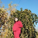 ���������� ����, ���� ������� ��������, 40 ���, ������������ ��� ����� � ���������, c�������� ���������