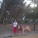 ���������� ���������, ���� ������� ���������, 57 ���, ������������ ��� ������, ����� � ���������