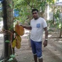  ,   Rossan, 34 ,   