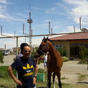 ���������� �������, ���� ������� ����� ����, 55 ���, ������������ ��� ������