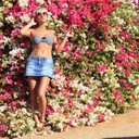  -,   , 41 ,   ,   , c 