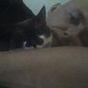 ���������� ���������, ���� ������� �����, 38 ���, ������������ ��� ����� � ���������, c�������� ���������