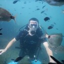 ���������� ���������, ���� ������� ��������, 38 ���, ������������ ��� ������, ����� � ���������