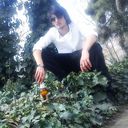  ,   AZO, 33 ,   