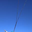 ���������� ���������, ���� ������� ������, 50 ���, ������������ ��� ����� � ���������, c�������� ���������