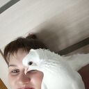  ,   , 36 ,   c 