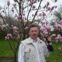  ,   , 65 ,   ,   , c 