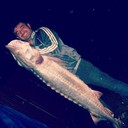  ,   Mamuka, 51 ,   ,   , c 