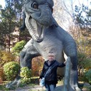 ���������� �����������, ���� ������� ���, 56 ���, ������������ ��� ����� � ���������, c�������� ���������