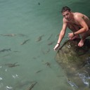  ,   , 38 ,   ,   , c 