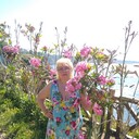  ,   , 71 ,   ,   