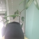 ���������� �����, ���� ������� �����, 64 ����, ������������ ��� ������, ����� � ���������, c�������� ���������