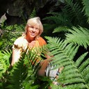 ���������� �������, ���� ������� ���, 56 ���, ������������ ��� ����� � ���������, c�������� ���������