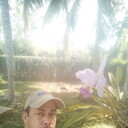 ���������� ������, ���� ������� ���������, 41 ���, ������������ ��� ������, ����� � ���������