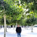  ,   , 41 ,   ,   