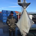 ���������� �����, ���� ������� ������, 44 ����, ������������ ��� ������, ����� � ���������, c�������� ���������