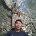 ���������� ������, ���� ������� �������, 37 ���, ������������ 