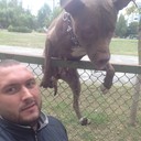  ,   , 36 ,   