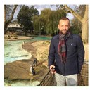 ���������� ������, ���� ������� �����, 49 ���, ������������ ��� ������, ����� � ���������, c�������� ���������