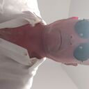  ,   , 54 ,   ,   