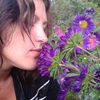  ,    , 37 ,   ,   , c 