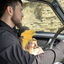 ���������� ���������, ���� ������� Malik, 31 ���, ������������ 