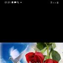 ���������� ����������, ���� ������� �����, 44 ����, ������������ ��� ������, ����� � ���������