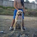  ,   Samir, 32 ,   ,   , c 