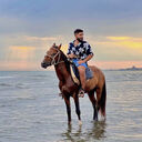 ���������� �����-���������, ���� ����� Selim, 25 ���, ������������ ��� ������, ����� � ���������