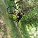 ���������� ������, ���� ������� ����, 38 ���, ������������ 