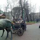 ���������� �����, ���� ������� �����, 50 ���, ������������ ��� ������, ����� � ���������, c�������� ���������