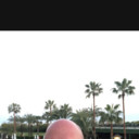  -,   , 41 ,   