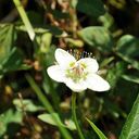 ���������� ������������, ���� ������� Nik, 52 ����, ������������ ��� ������, ���������